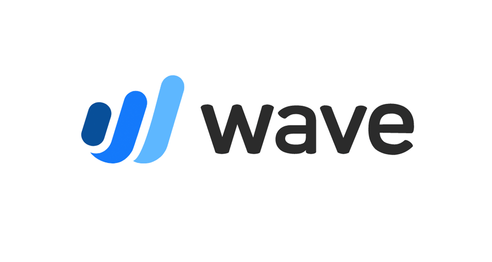 Virtual Accountant Services using Wave